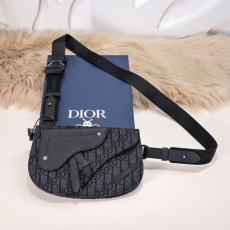 Mens Christian Dior Waist Chest Packs